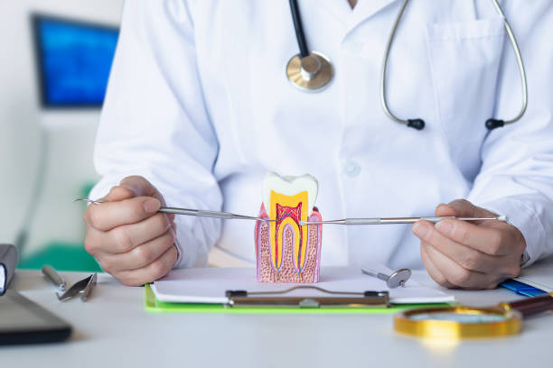 Best Emergency Root Canal Treatment in Plymouth, MI